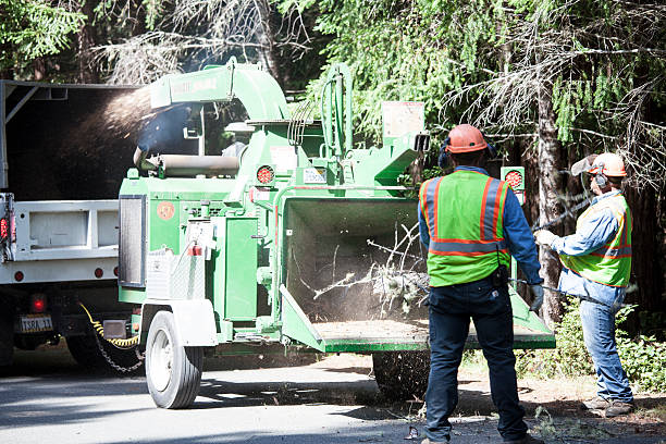 Best Lawn Watering Services  in Talty, TX